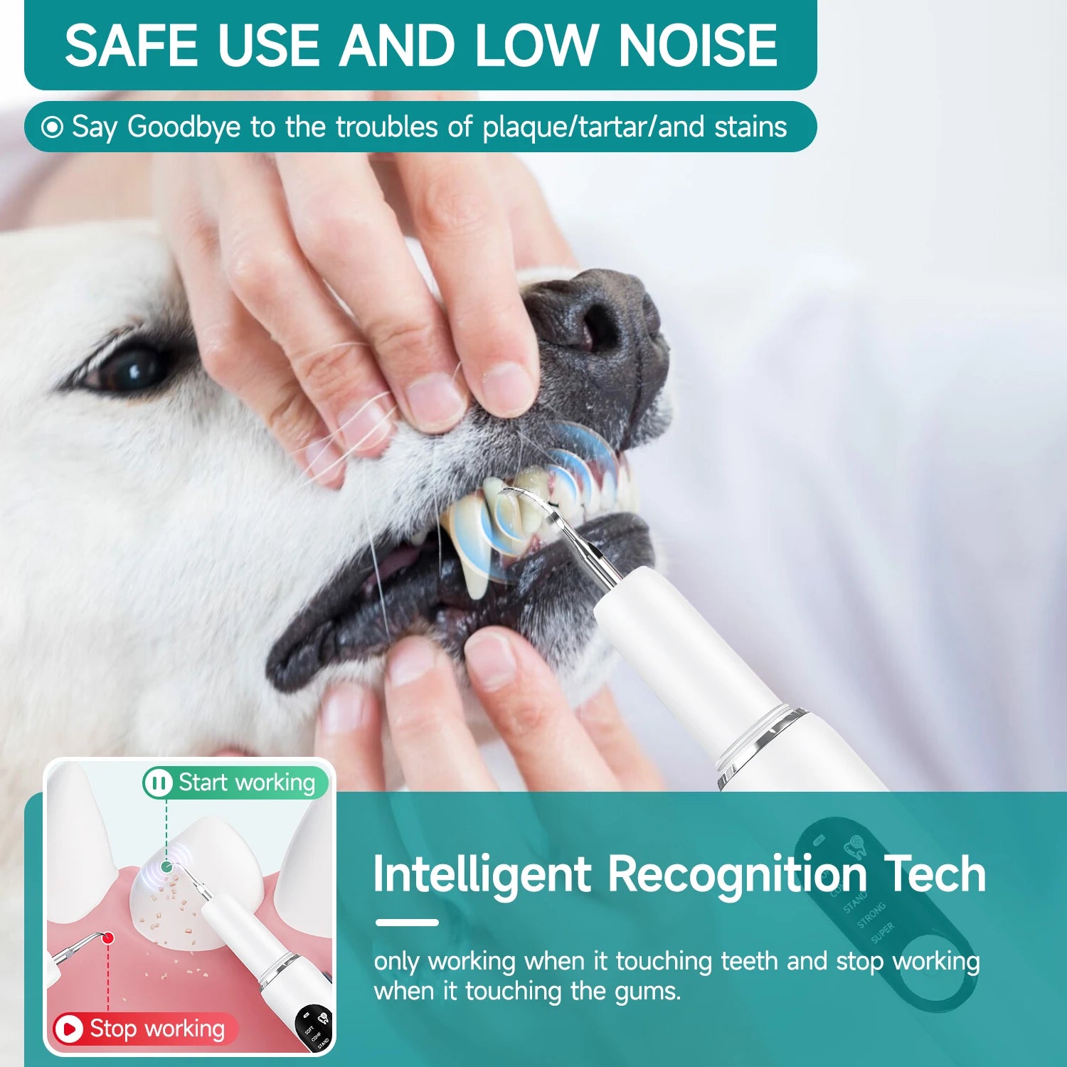 Pet Use Ultrasonic Tooth Cleaner Dog Cat Dental Scaler for Tartar Removal Teeth Cleaning Tool with Sonic Technolog